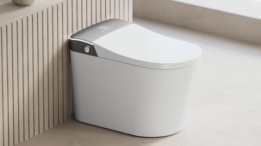 How to Choose the Best Smart Toilet for Your Home?