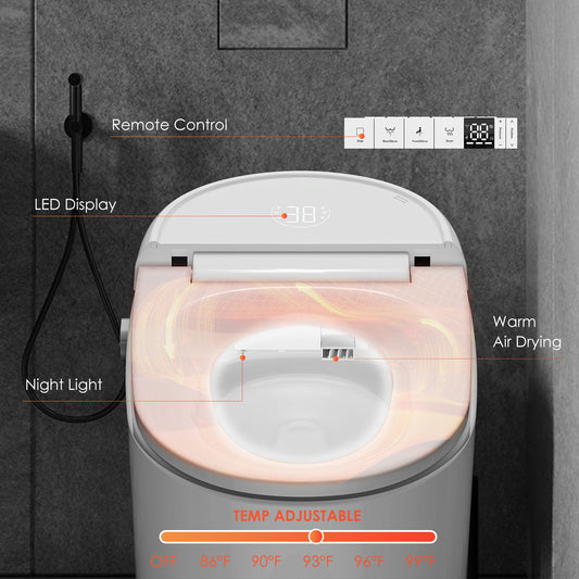 COZIWIZI Aurora Smart Toilet With Warm Water